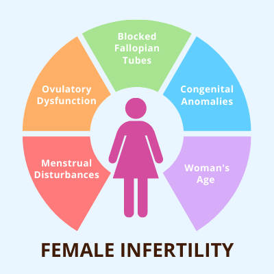 What Can Cause Infertility In Women? Best infertility and fertility doctor